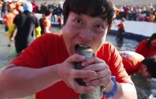 好餓的韓國人， 先摸魚再。。。